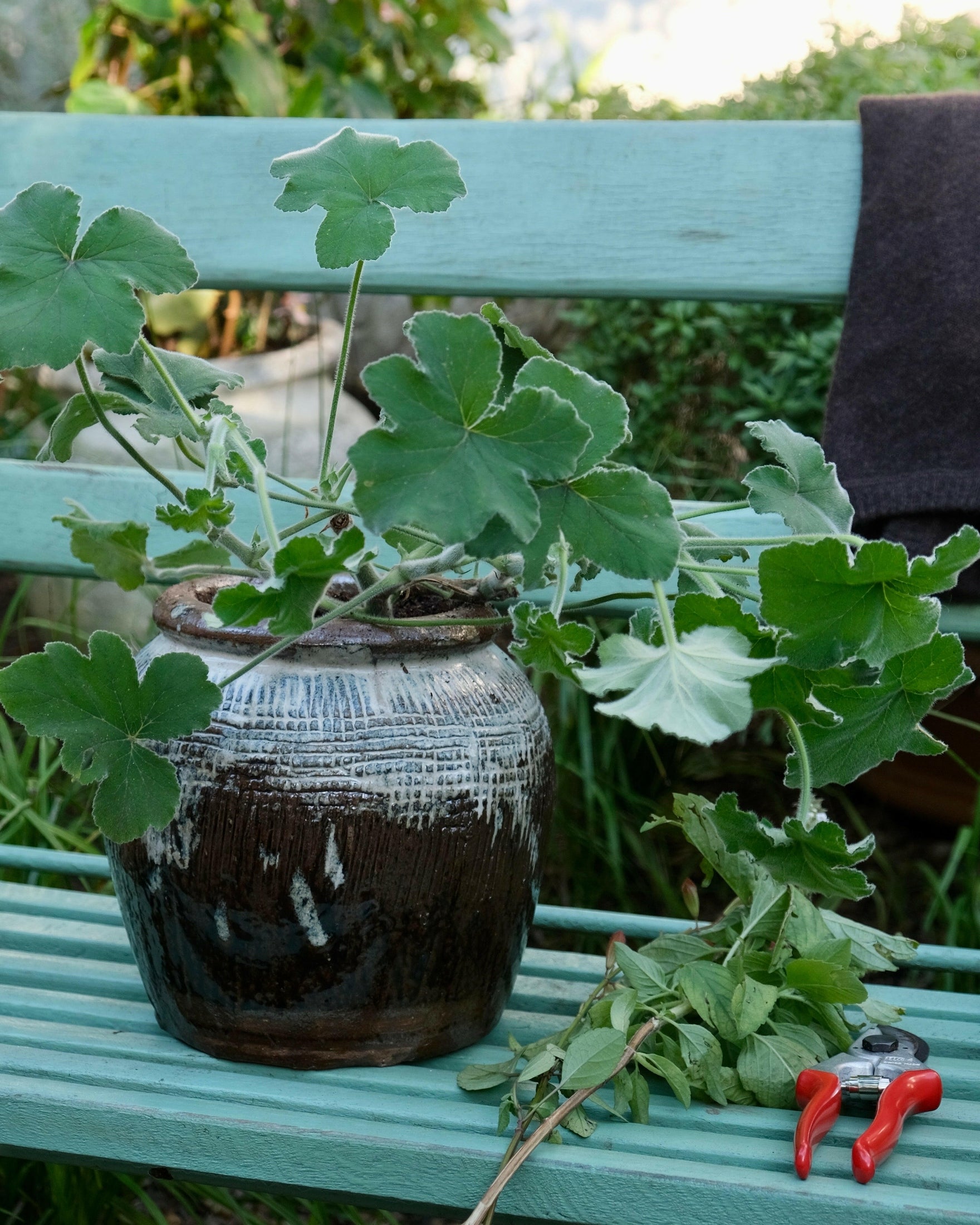 Brown & Cream Ombre Textured Pot Plant Mantra Living