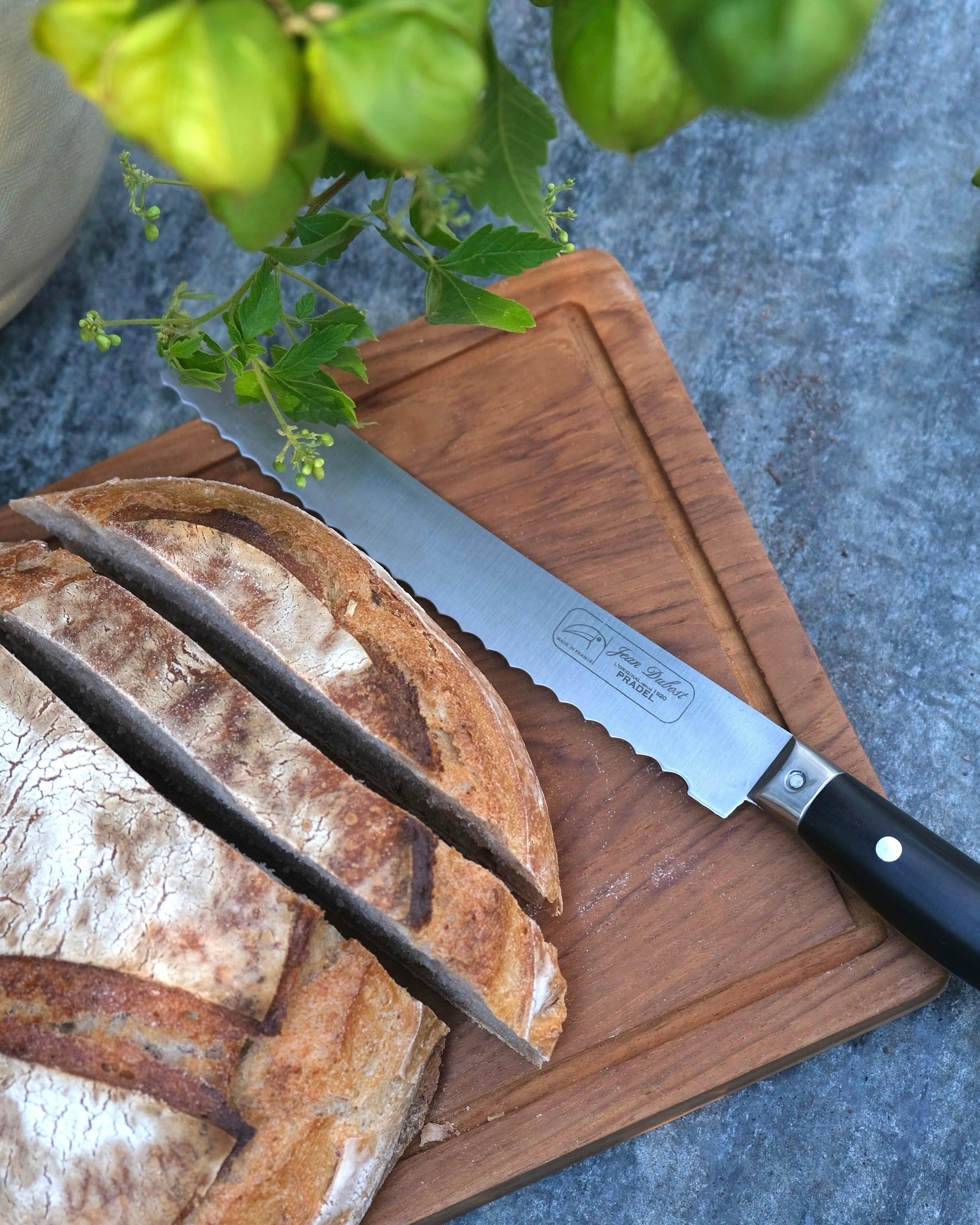 Jean Dubost Bread Knife Mantra Living