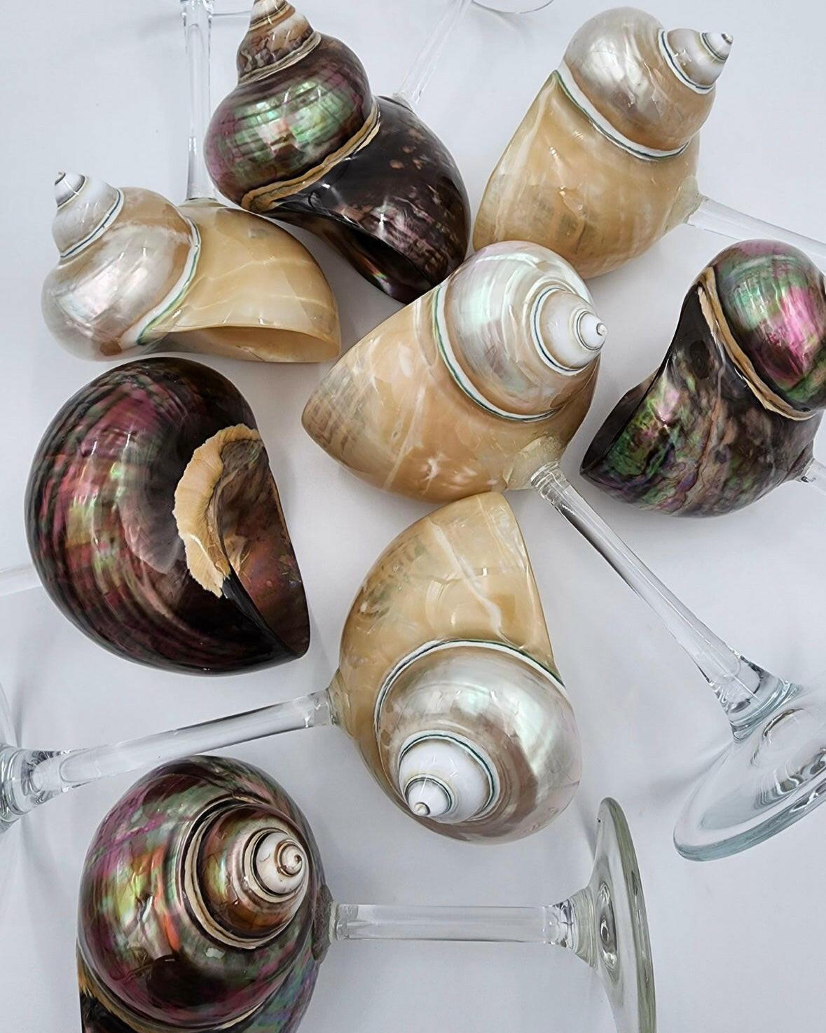 Siren Glass Mantra Living