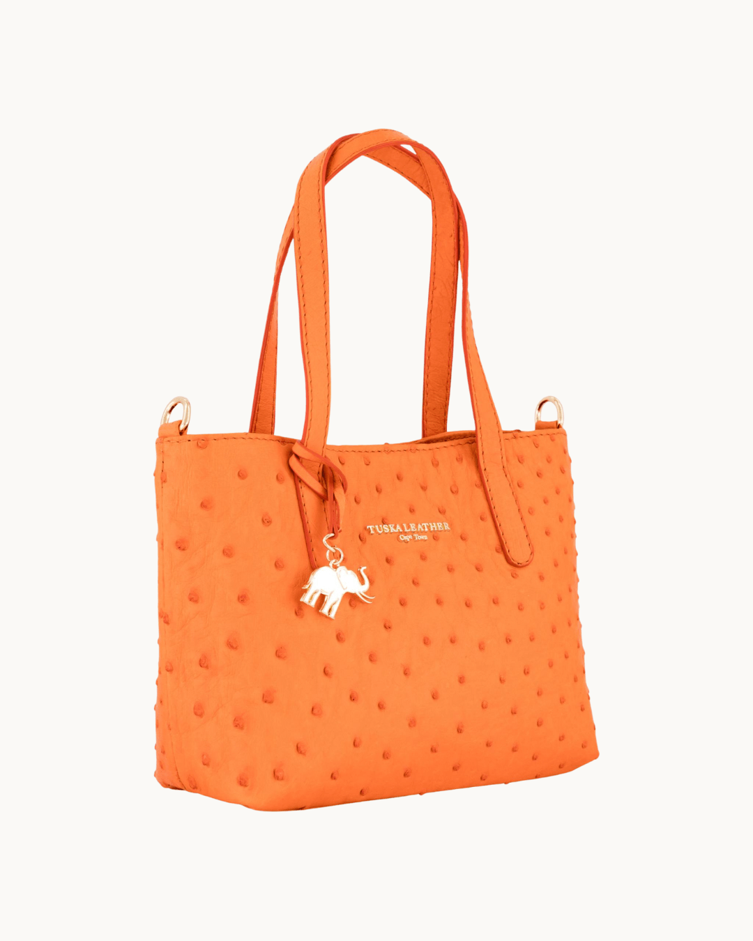 The Mini Tote Bag