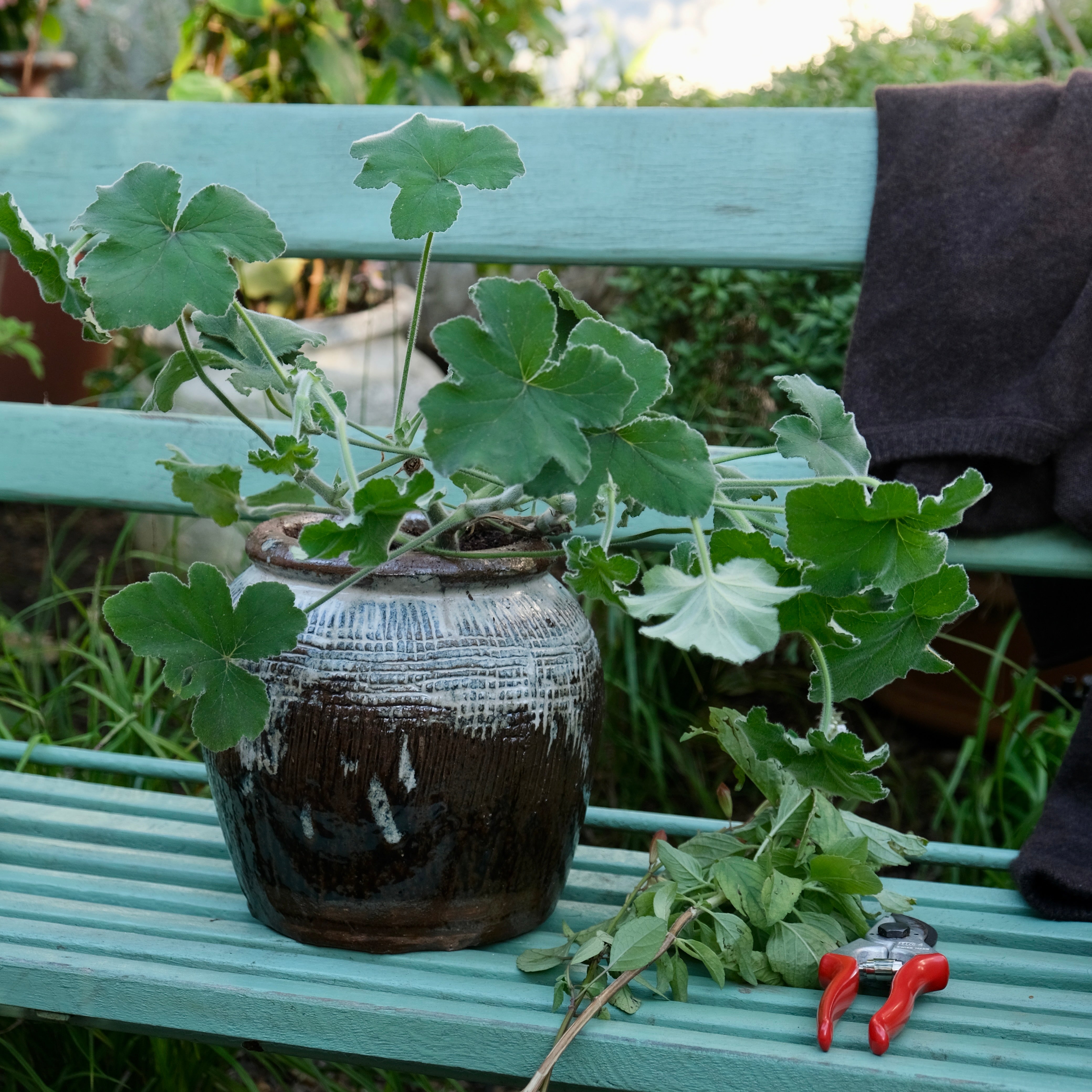 Brown & Cream Ombre Textured Pot Plant