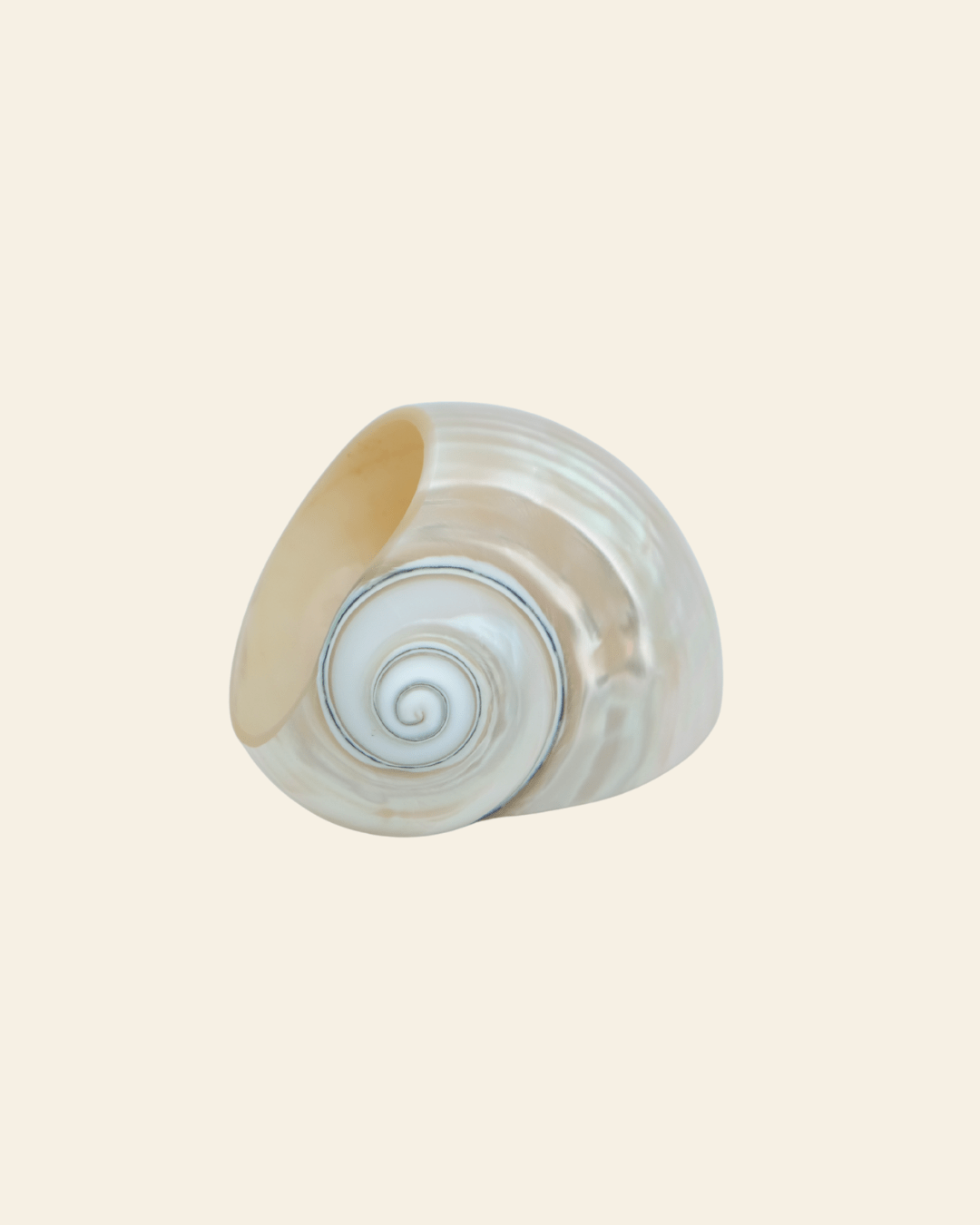 Siren Shell Napkin Ring