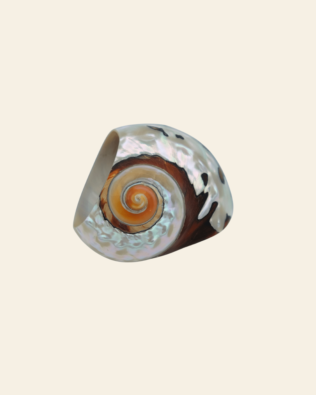 Siren Shell Napkin Ring