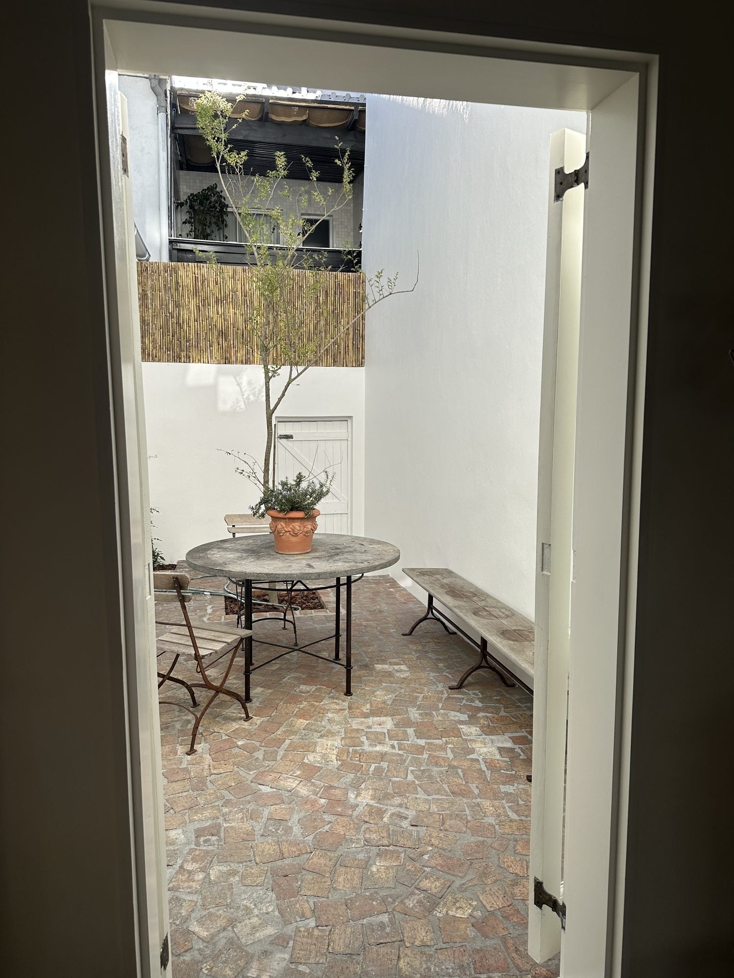 Looking through a doorway into the courtyard, a young tree in a terracotta pot beside a round stone table